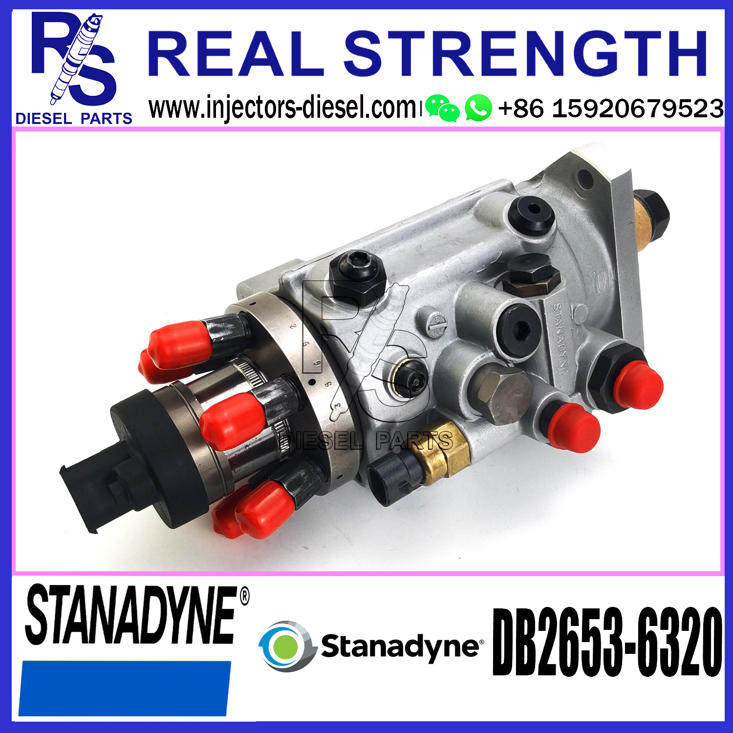 Stanadyne Diesel Engine Fuel Pump DB2635-6221 DB2435-6481 DB2653-6320 for Diesel Engine