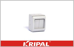 Quality UKW -2GS IP55 13A 250V 2 Gang Weatherproof Switch Socket Single Pole Surface Mount wholesale