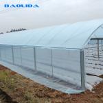 Vegetable Growing Plastic Tunnel Greenhouse Ultraviolet Proof