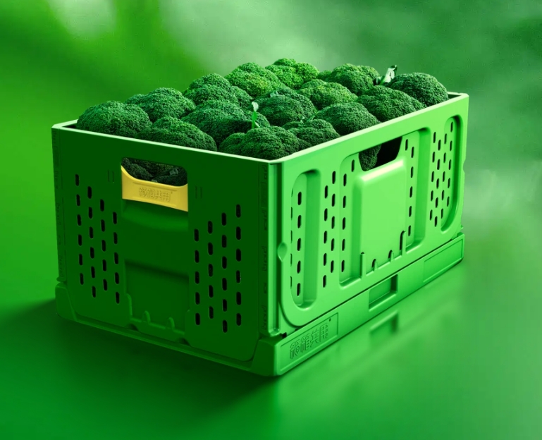 Virgin Plastic Collapsible Folding Vegetable Crate for Agriculture Fruits Transportation