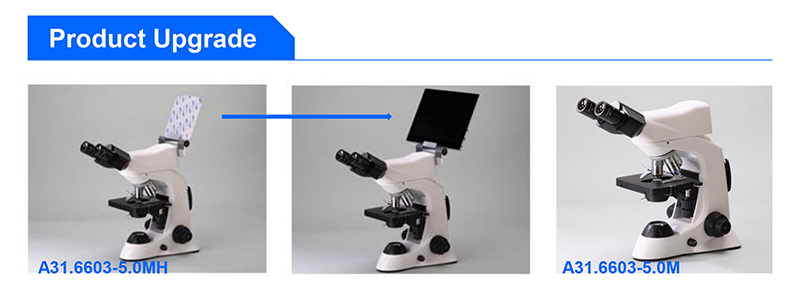 Student 1000X Compound Optical Microscope Laboratory Capillary Microscope