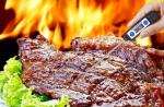Food Retail Household Barbecue Smoker Thermometer With Reduced Tip Probe
