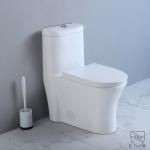 Commercial Ada Bathrooms Toilets For Physically Handicapped Challenged Person