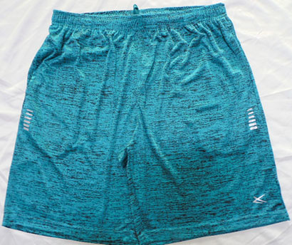 Elastic Waist Embroidery And Applique Exercise Shorts Men Fast Dry