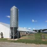 Modern Long Span Steel Construction Building High Capacity Prefabricated Poultry