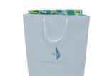 Eco - Friendly Paper Shopping Bags For Advertising / Promotion / Gift