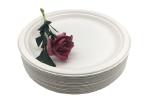 9 Inch Snack 100% Natural Sugarcane Compostable Plates