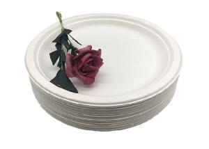 Quality 9 Inch Snack 100% Natural Sugarcane Compostable Plates wholesale
