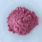 Hot Sale Poland Aronia Berry Powder / Aronia Powder