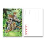 2.5*3.5 Inch Animal Theme Lenticular 3D Poker Cards For Gifts Or Promotion