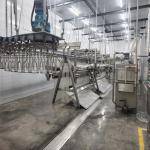 Stainless Steel Slaughter Processing Line 500bph 10000bph Chicken Abattoir