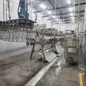 Quality 6000bph POULTRY Slaught Line Abattoir for Improved Productivity wholesale