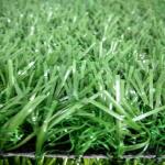 Artificial Fake Turf Carpet In Realistic Surface Roof Top Beautiful Landsaping