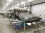 Industrial Shrimp Grading Machine Anti corrosion Multipurpose