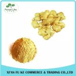 100% Natural Yellow Ginger Extract Powder 10 :1