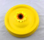 Dog Training Interactive Puppy Flyer Toy Cute Dog Flying Saucer