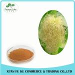 Manufacturer Direct Price Organic Corn Stigma Extract