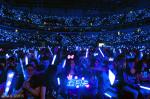 Concert Cheering LED Glow Sticks , Personalized Light Up Foam Sticks