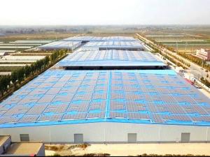 Quality Large Span Logistics Warehouse With Solar Panel wholesale