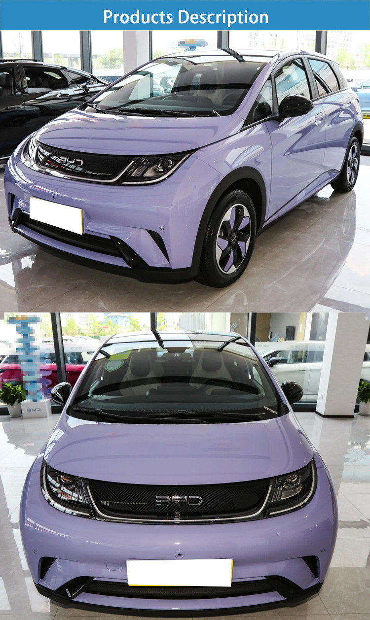 2025 BYD Dolphin Electric SUV with Leather Seats and Electric Rearview Mirror Adjustment
