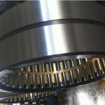 110mm 254735Q brass cage Full Complement Needle Double Row Bearing Roller