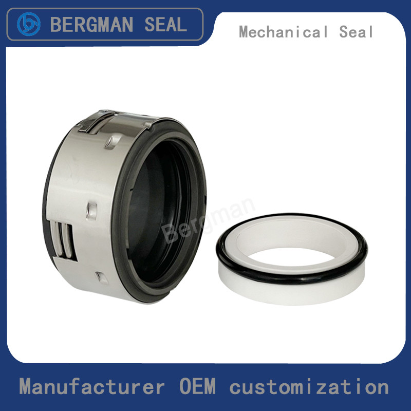 BERGMAN Replaces John Crane 502 18mm-100mm G60 G4 G6 G9 G13 G16 BS Bo BP Pump Mechanical Seal
