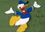 Animal Images Pictured Artificial Grass 17mm Patterned Fake Turf For Kindergarte