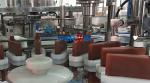PW-GX515 Biochemistry Diagnostic Reagents Filling Production Line