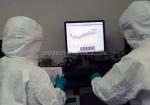 ZX Corporation Rapid Test Kit Production Line Rapid Test Kit Production Line