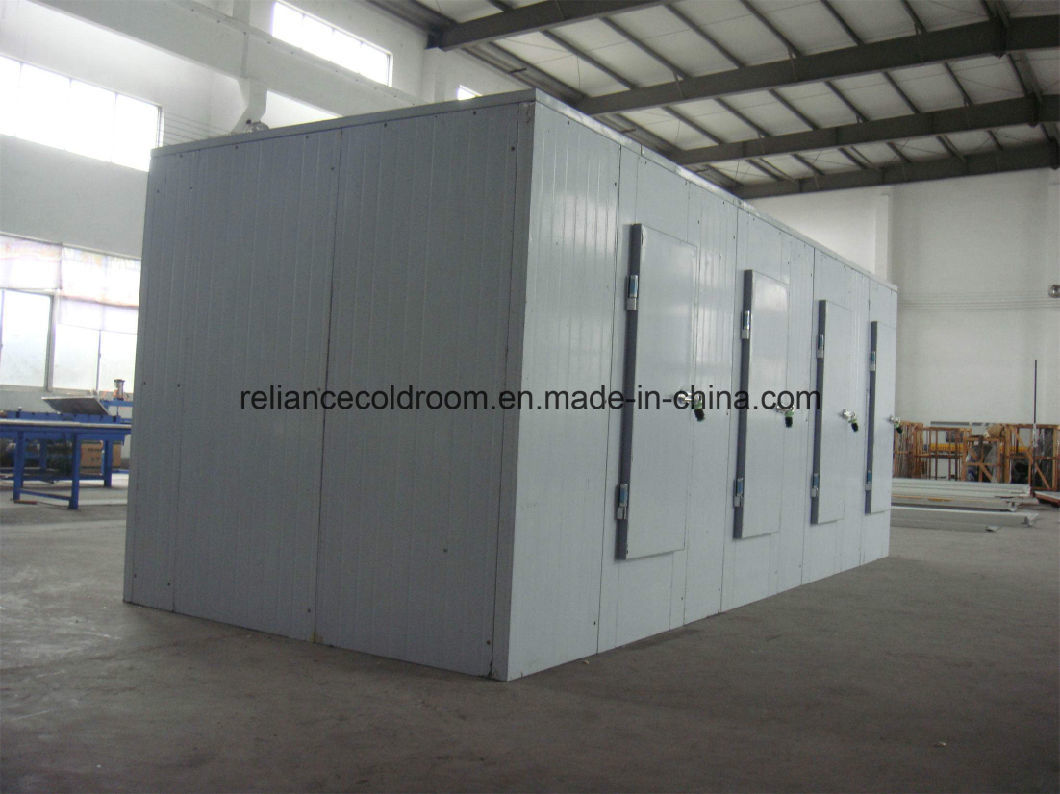 Cold Room for Storage of Fruit, Vegetable and Meat