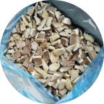 IQF Frozen Oyster Mushroom Quarter(1/4)
