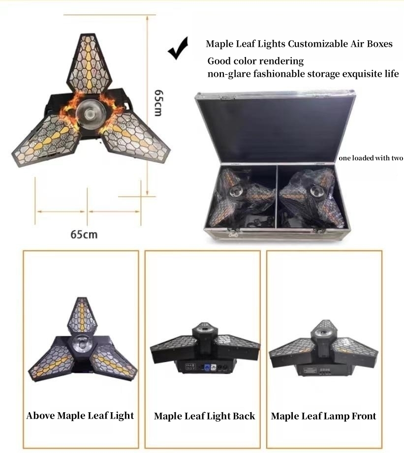 250W Head Stage Effect Lighting DJ Disco Stage Lights for Disco Party Retro Light