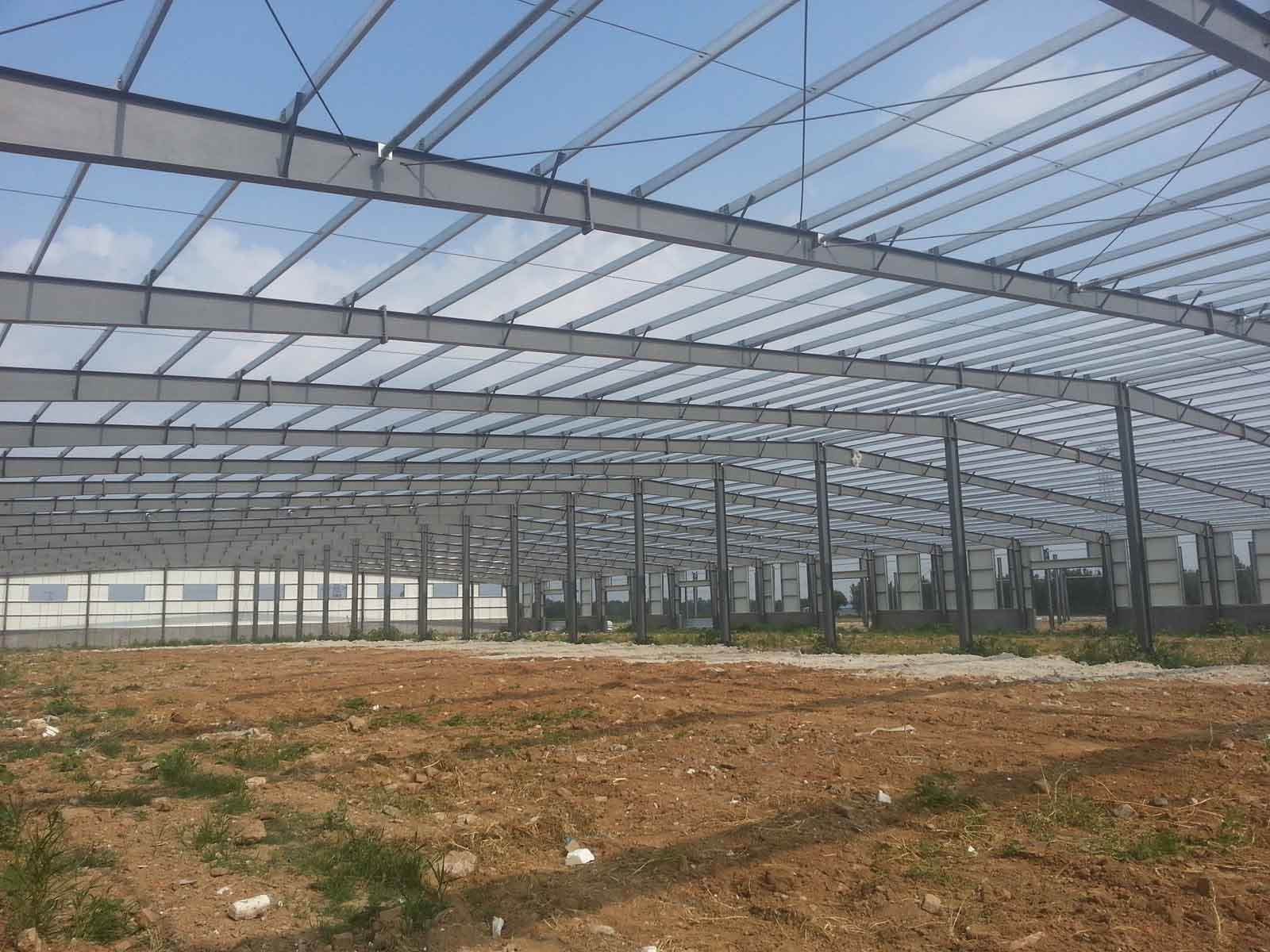 Modern Workshop Pre Engineered Steel Building Prefabricated Large Span Steel Structures