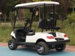 25Mph-40Mph Electric Performance EMC Golf Cart Two Person