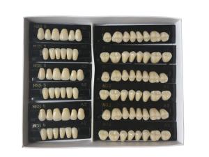 Quality Whitening Composite Resin Teeth For Denture Kit Super Hard 2 Layers wholesale