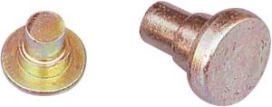 Quality Brass Finished Round Head Solid Rivet For Furniture Connecting wholesale