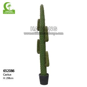 Quality High Simulation Height 208cm Artificial Succulent Plant HAIHONG wholesale