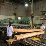 American Natural Poplar Wood Veneer Quarter Cut Double Color For Decoration