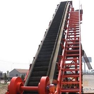 China China inclination power plant vertical conveyor belt on sale