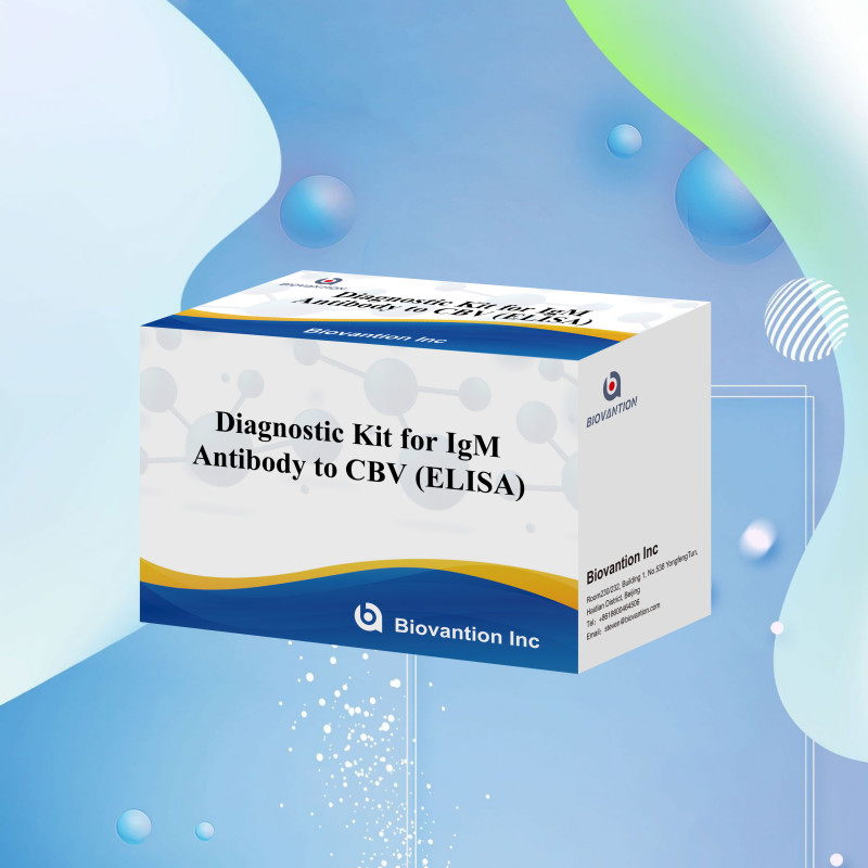 18 Months Shelf Life Enzyme-Linked Immunosorbent Assay Test For IgM Antibody To CBV