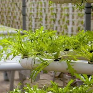 Quality 0.15/0.20mm Po/PE Film Covered Multi Span Greenhouse Temporary Heating wholesale
