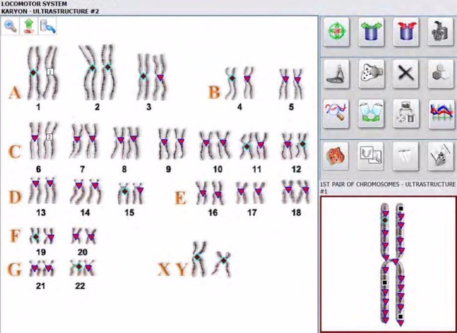 Metatron hunter 4025 with german software