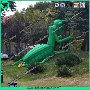 Quality Inflatable Mantis wholesale