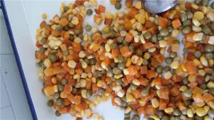 Quality Nutritious Canned Mixed Vegetables Fine Flavors With Precious Health Values wholesale