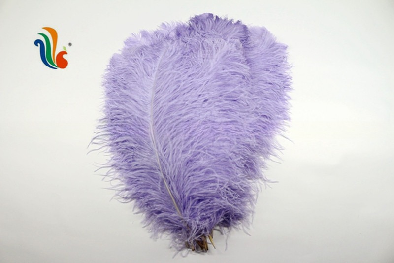 Various Color Millinery Feather Ostrich Plume Feathers 50-55cm For Hat Decoration