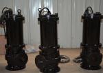 Lake Rain Dirty Water Submersible Sewage Pump IP68 Resistant 11kw 15hp