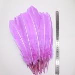 Party Decoration Colored Turkey Feathers Event Supplies 10-12 inch