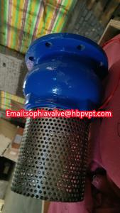 Quality JIS ANSI 125LB cast iron flanged foot valve wholesale