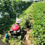 4 Stroke Self Propelled Lawn Mower 7.5HP Agricultural Automatic Lawn Mower