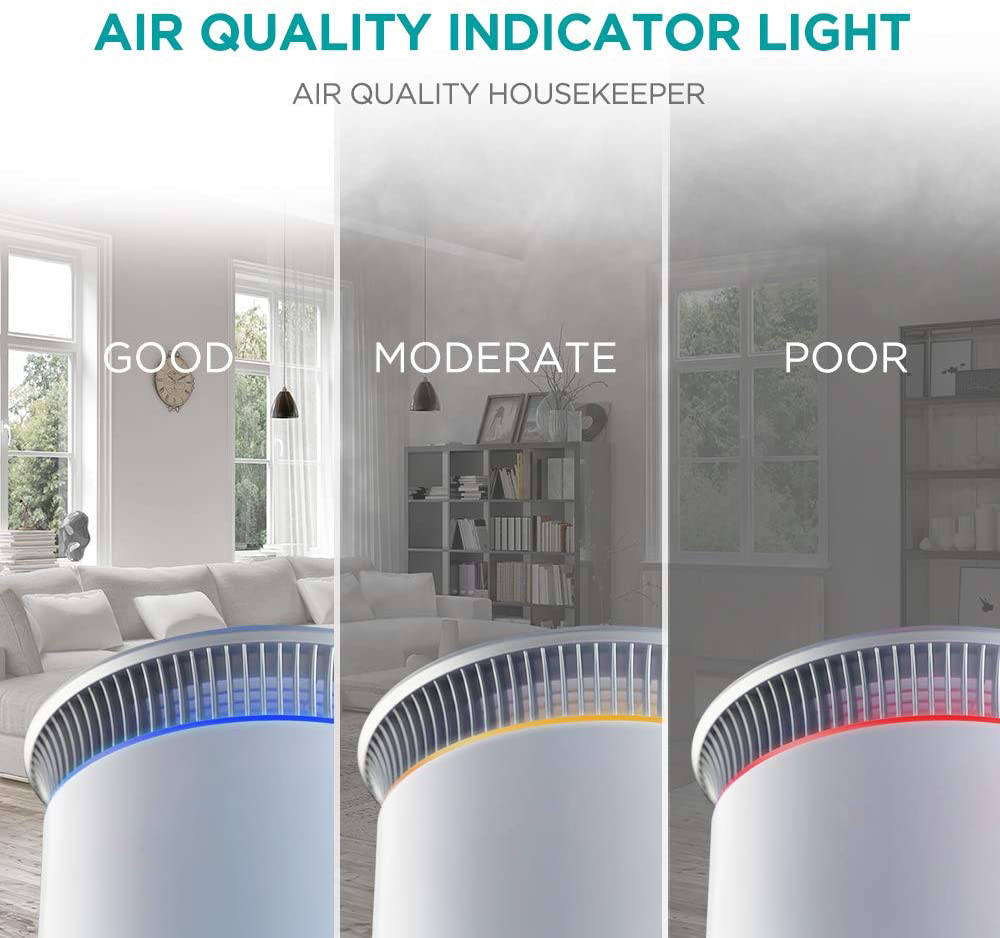 Indoor Household Portable Anion Air Purifier Low Noise 100-240V 24W